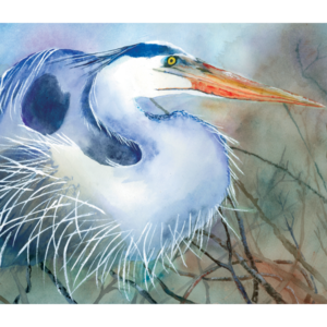 Blue Heron at Repose