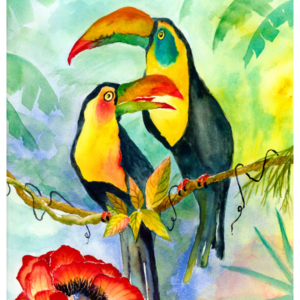 Two Toucans