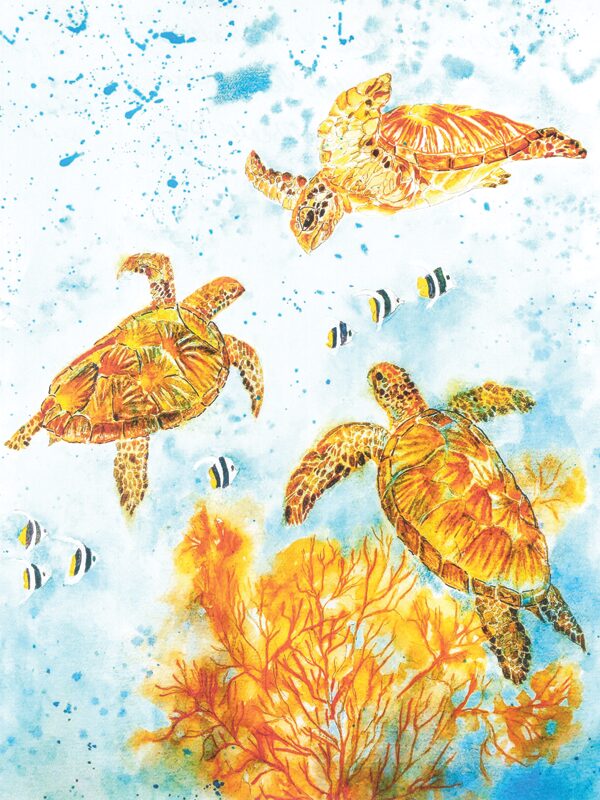 Turtle Party